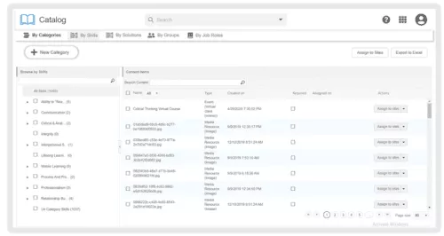 Content items within a catalog may be organized into distinct sets of categories and sub-categories. Category schemas may be reused across multiple catalogs. Enable learners to discover content by visually scanning a gallery of categories.